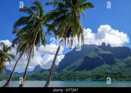 Cooks Bay und Lagune auf der Insel Moorea. Französisch-Polynesien Stockfoto