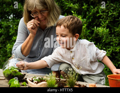 Botanische Umwelt Grün Keramik Natur Stockfoto