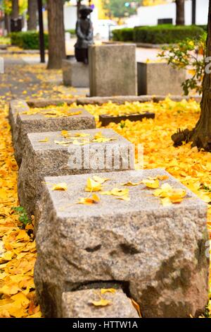 Stein Sitze im Nebel des gefallenen gelben Gingko Blätter unter Ginkgo Baum auf Fußweg im Herbst neben einer Straße um Burg Himeji, Japan Stockfoto