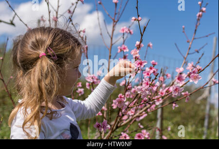 Kleines Mädchen im Frühling Blumen pflücken Stockfoto