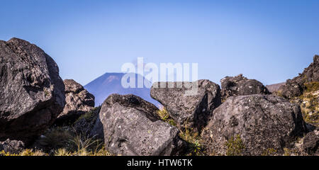 Blick auf Vulkan Ngauruhoe, Tongariro National Park, Neuseeland Stockfoto