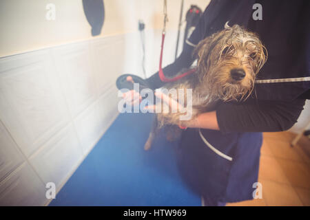 Frau mit Hund nach Wäsche Trockner Stockfoto