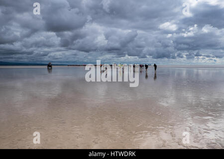 Liebe Wanderer überqueren Morecambe Bay Cumbria England Juli 2016 Stockfoto