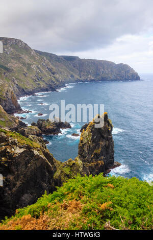 Klippen am Kap Cabo Ortegal, die höchsten Klippen Europas. Coruña Provinz, Galizien, Spanien, Europa Stockfoto