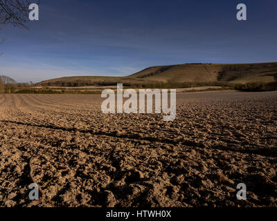 Die South Downs rund um das Dorf Firle in East Sussex in der Nähe von Lewes. Stockfoto