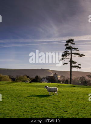 St. Peters Church betrachtet über die Immobilien Parklandschaft des Firle Anwesens mit der South Downs steigt hinter in der Nähe von Lewes, East Sussex Stockfoto