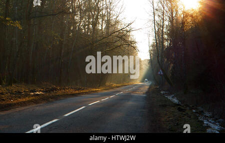 die Straße durch den Wald, die Sonne bricht durch die Bäume Stockfoto