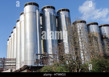 Edelstahl-Lagertanks in der Brauerei Molson Coors in Burton-nach-Trent, Staffordshire Stockfoto