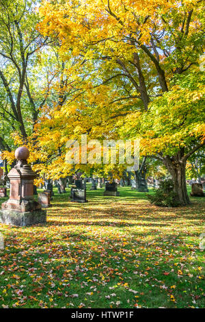 Frisch im Herbst auf dem Rasen auf einem Friedhof in Stouffville Ontario Kanada gefallen. Stockfoto