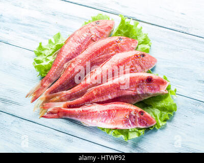 Rote Meerbarben auf dem Holzbrett. Stockfoto