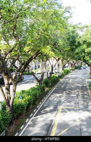 Von Bäumen gesäumten zweispurigen Beach Road Singapur. Stockfoto