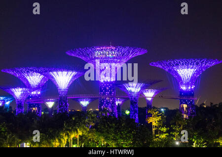 Licht und Musik show namens OCBC Garden Rhapsody, leuchten die Supertrees im Gardens By The Bay Marina Sands, Singapur. Stockfoto