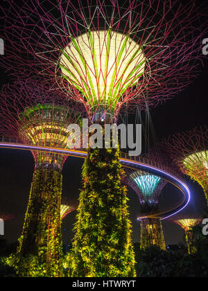 Baumartige Strukturen genannt Supertrees die vertikale Gärten, die nachts beleuchtet in Gärten durch die Bucht, Marina Bay, Singapur sind. Stockfoto