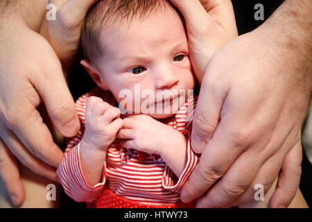 Detail 2 Wochen alten Baby, Hände der Eltern Stockfoto