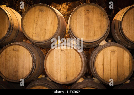 Weinlese - Holz- Wein Fässer im Keller am Meer Campo Adega, Vila Nova da Tazem - Serra da Estrela, Portugal Stockfoto