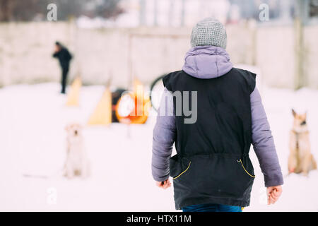 Junge Frau engagiert sich im Hundetraining. Hund im Schnee, Winter-Saison im Freien spielen. Stockfoto