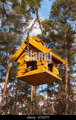 Vogelhaus im Wald. Für kleine Vögel Stockfoto