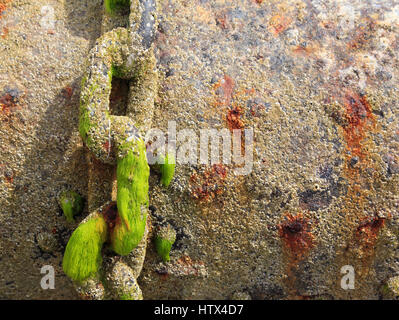 Eine alte Kette auf Barmouth Sands, Barmouth, Wales, Europa Stockfoto