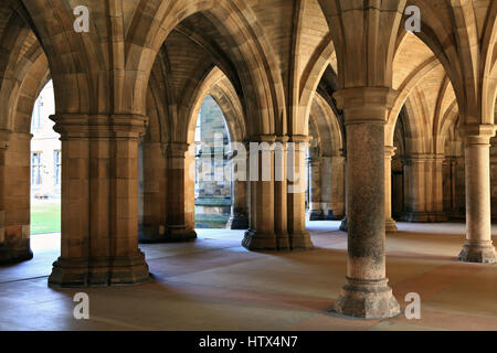 Bögen in Glasgow Universitätsgebäude. Schottland, Vereinigtes Königreich Stockfoto