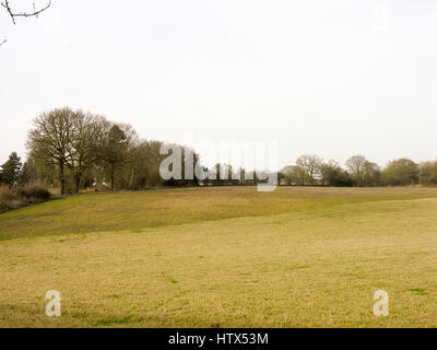 Eine schöne weite grüne Land mit einem blauen Horizont und ein paar Bäume zwischen. Stockfoto