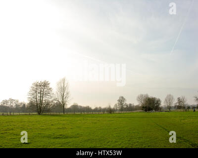 Ein Blick auf einige der grünen Freifläche in Dedham. Stockfoto