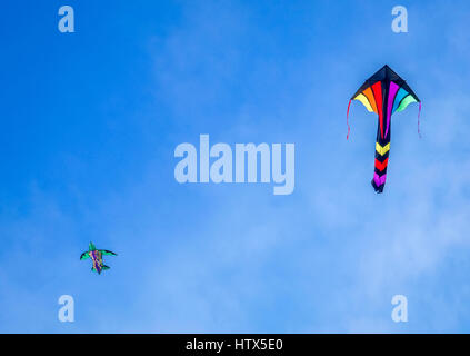 Zwei bunte Drachen fliegen hoch an einem sonnigen Tag, Brenton Point State Park, Newport, Rhode Island, USA Stockfoto