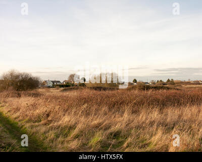 Die schönen Hinterhof Wivenhoes Seen. Stockfoto