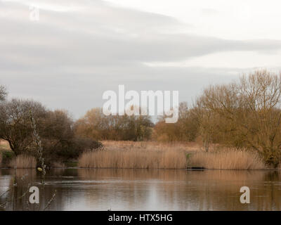 Einen wunderschönen See in Wivenhoe. Stockfoto