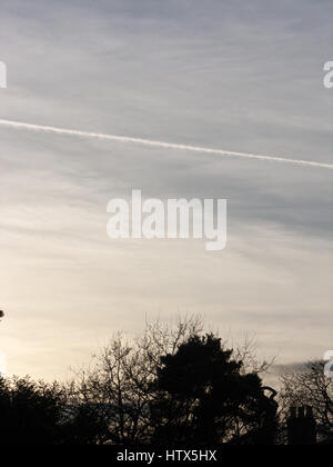 Eine weiche blaue und gelbe Nachthimmel mit einer Baum-skyline Stockfoto