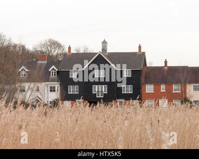 Ein schönes schwarzes Haus in der Ferne, hinter einigen Schilf. Stockfoto