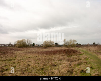 Das Outback in Wivenhoe. Stockfoto