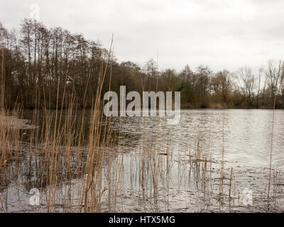 Wivenhoe See in allen verschilft Herrlichkeit. Stockfoto