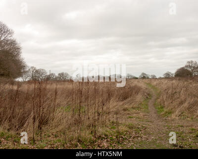Eine üppige Landschaft der Hinterhof Felder des Wivenhoe. Stockfoto