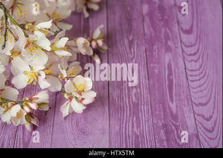 Obst Blumen auf lila Hintergrund aus Holz. Stockfoto