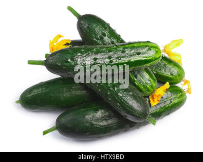 Haufen von frischen kleinen Gurken oder Gurken (Cucumis Sativus), Ansicht von oben. Schneidepfade, Schatten getrennt Stockfoto