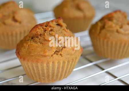 Frisch gebackene Karotten Kuchen muffins Stockfoto