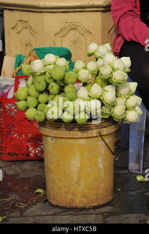 Lotus Blumen für den Verkauf an ein Open-Air-Markt am Fluss während des chinesischen neuen Jahres, Phnom Penh, Kambodscha. Credit: Kraig Lieb Stockfoto