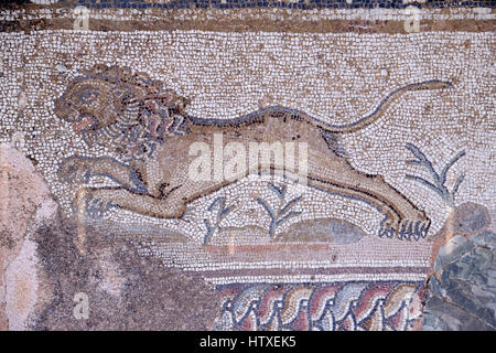 Römisches Mosaik in das Haus des Theseus, Nea Paphos, Zypern. Stockfoto