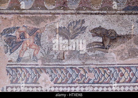 Römisches Mosaik in das Haus des Theseus, Nea Paphos, Zypern.  Gladiator mit Blick auf wildes Tier zeigt. Stockfoto