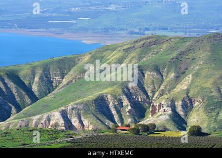 Golanhöhen, östlich des Meeres von Galiläa, Israelfelder Stockfoto