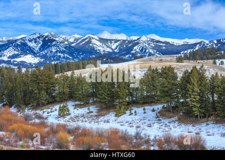 verrückte Berge über Ausläufer und Anliegerstaaten Lebensraum im Winter in der Nähe von Wilsall, montana Stockfoto