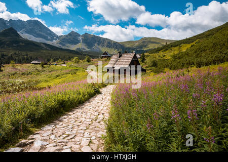 Sommer Blick auf Hala Gasienicowa im Tal, hohen Tatra-Zakopane-Polen Stockfoto