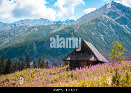 Sommer Blick auf Hala Gasienicowa im Tal, hohen Tatra-Zakopane-Polen Stockfoto