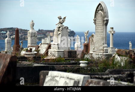 Waverley Cemetery ist ein Staat denkmalgeschützten Friedhof an einem legendären Ort in Sydney. Es ist bekannt für seine weitgehend intakten viktorianischen und edwardianischen monu Stockfoto