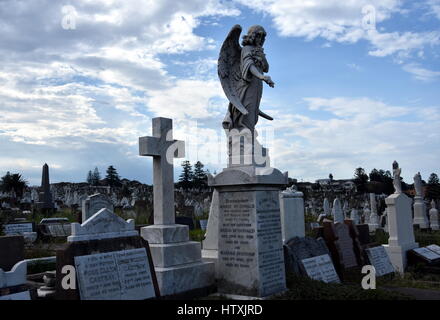 Waverley Cemetery ist ein Staat denkmalgeschützten Friedhof an einem legendären Ort in Sydney. Es ist bekannt für seine weitgehend intakten viktorianischen und edwardianischen monu Stockfoto