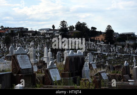 Waverley Cemetery ist ein Staat denkmalgeschützten Friedhof an einem legendären Ort in Sydney. Es ist bekannt für seine weitgehend intakten viktorianischen und edwardianischen monu Stockfoto