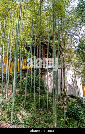 China, Hangzhou. Kloster Seele SanctuaryTemple (Lininsy). Ein hölzerner Pavillon in jungen Bambushain in einer abgelegenen Ecke des Parks. Stockfoto