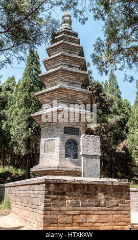 China, das Shaolin-Kloster. Wald-Pagoden Talin ist dreihundert Meter westlich des Klosters und hat über 300 Gebäude. Stockfoto