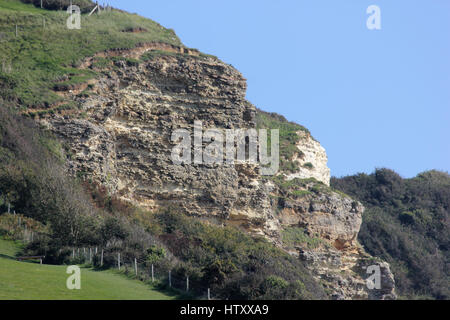 Die oberen Greensand Klippen bei Branscombe Mund, Devon, zeigt Teil der South West Coast Path national Trail, an einem sonnigen Tag mit blauem Himmel Stockfoto