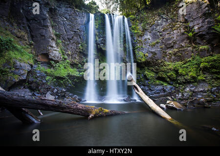 Hopetoun Falls - Great Ottway National Park, Victoria Stockfoto